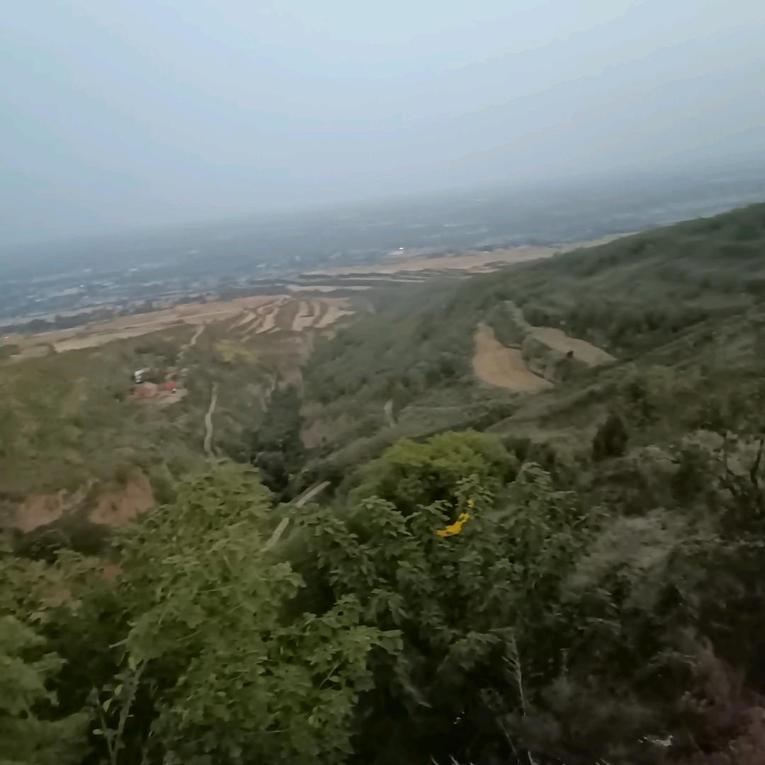 爱到深处都是伤