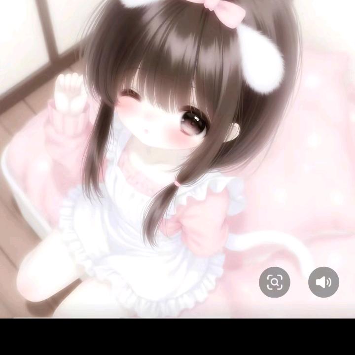 我的龟龟