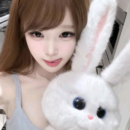 麻辣兔头🐰（破碎版）