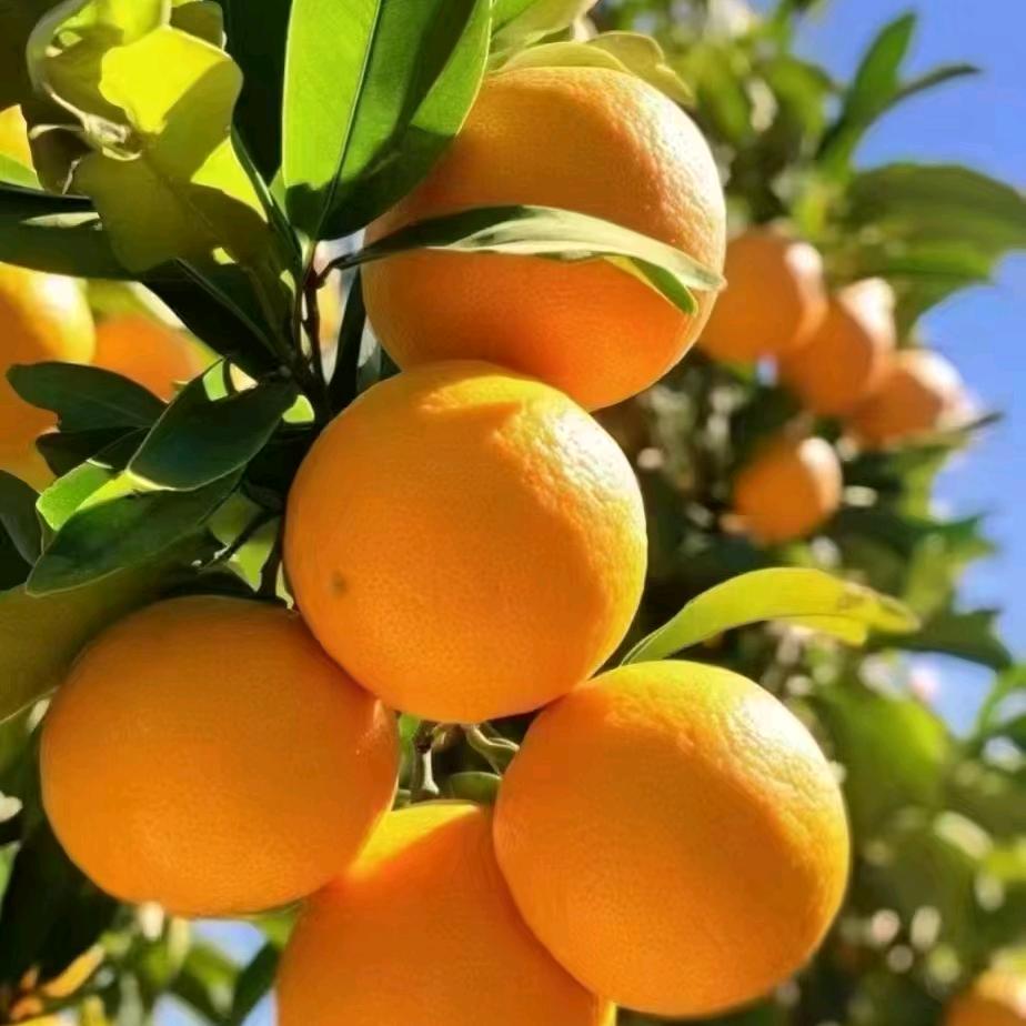 健康是福