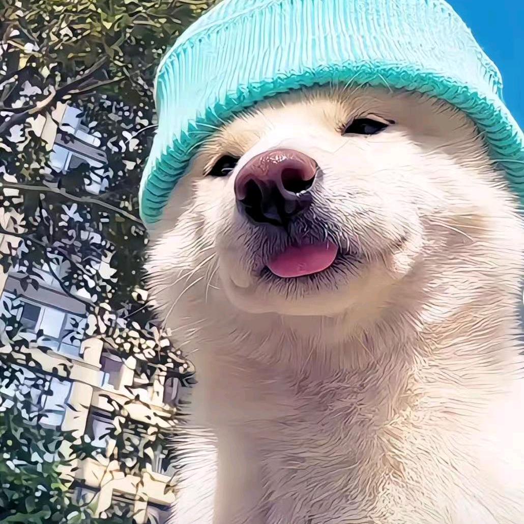 晨晨（大乐团队）