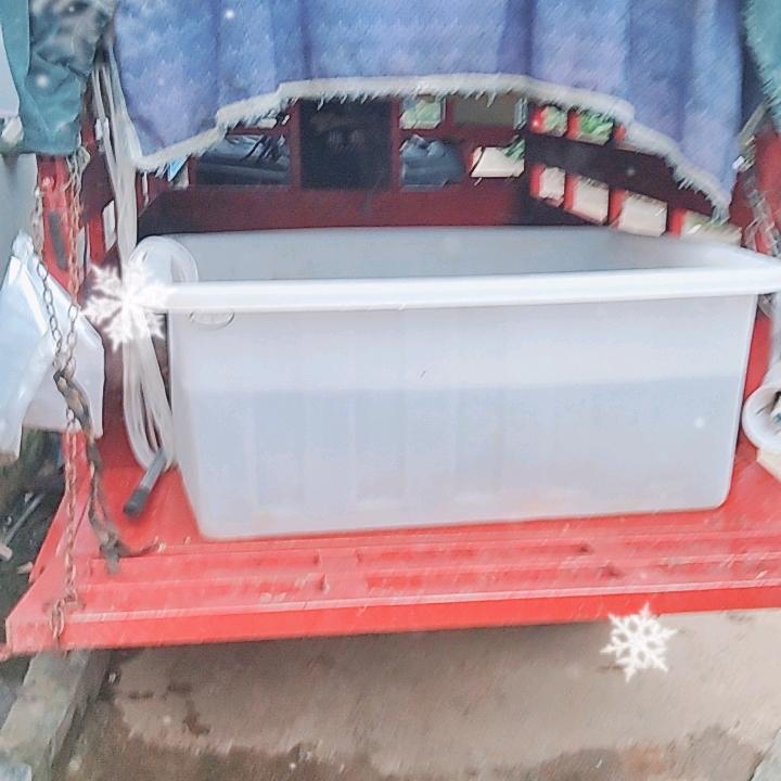 我想你了