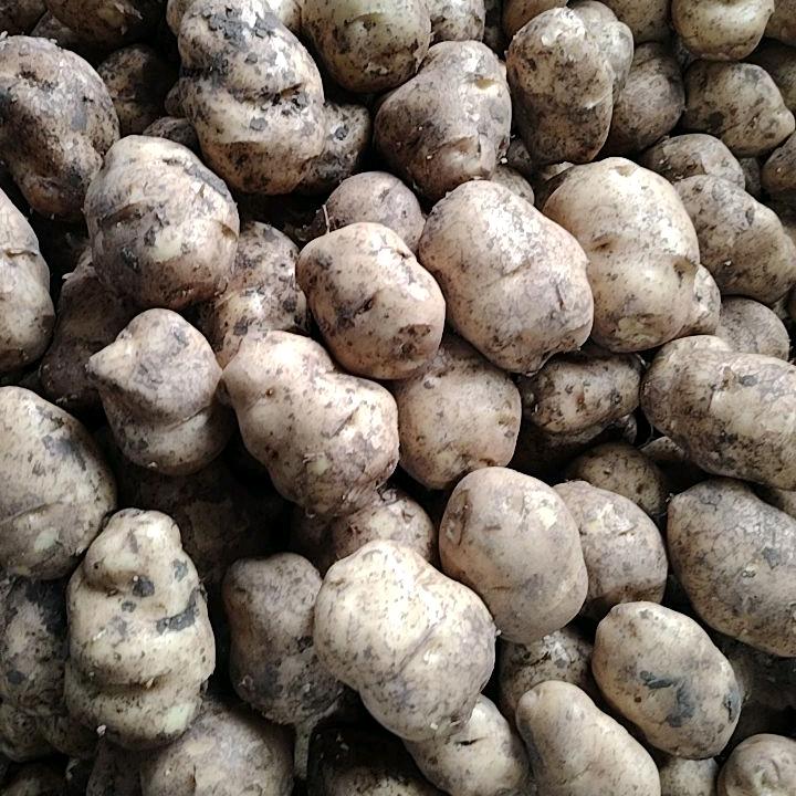 七星关区慧精选农产品销售店（个体工商户）