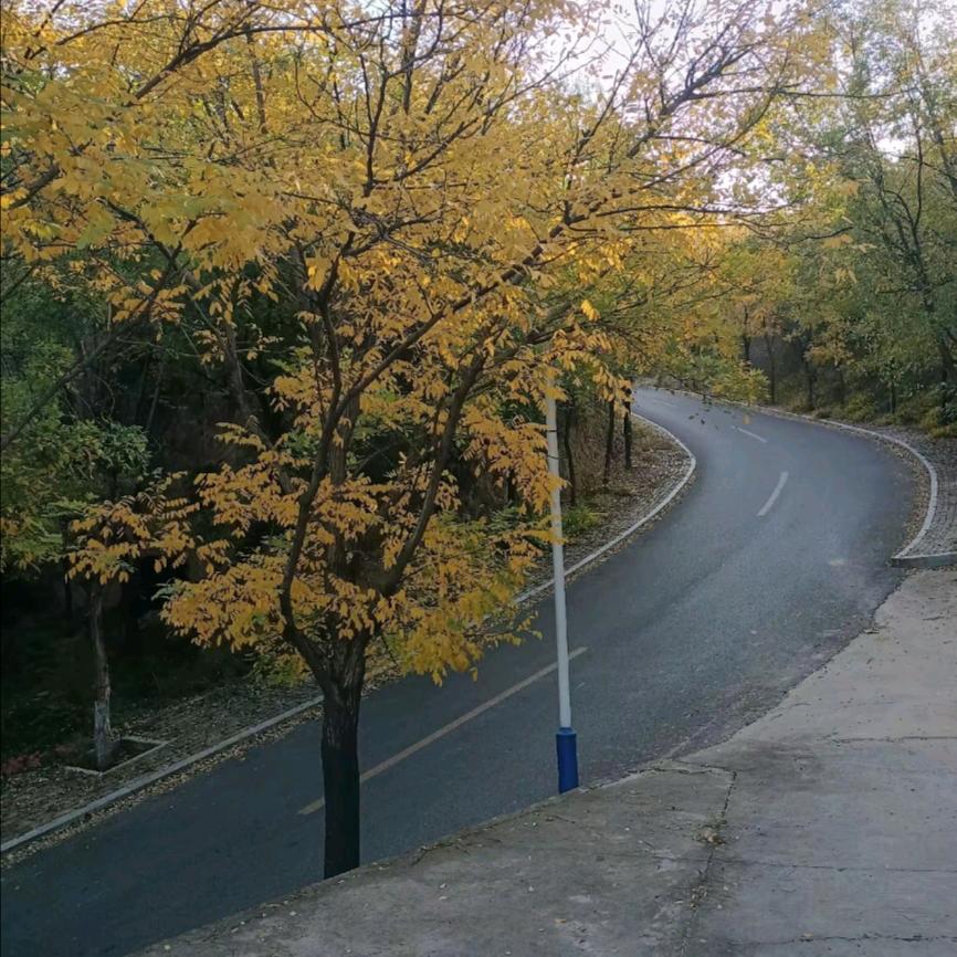 清洗地暖.更换分水器.解决地暖疑难杂症