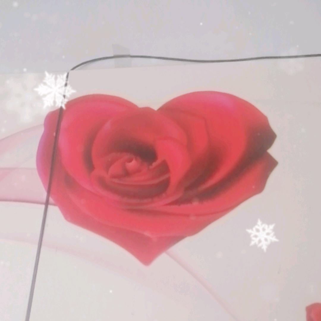 所谓的兔兔，不理小人