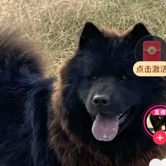 约定