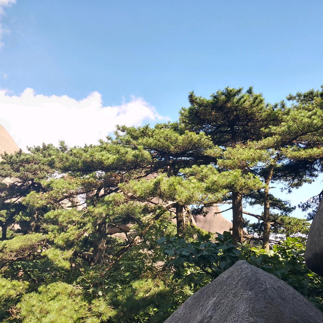 多少深爱都是秘密