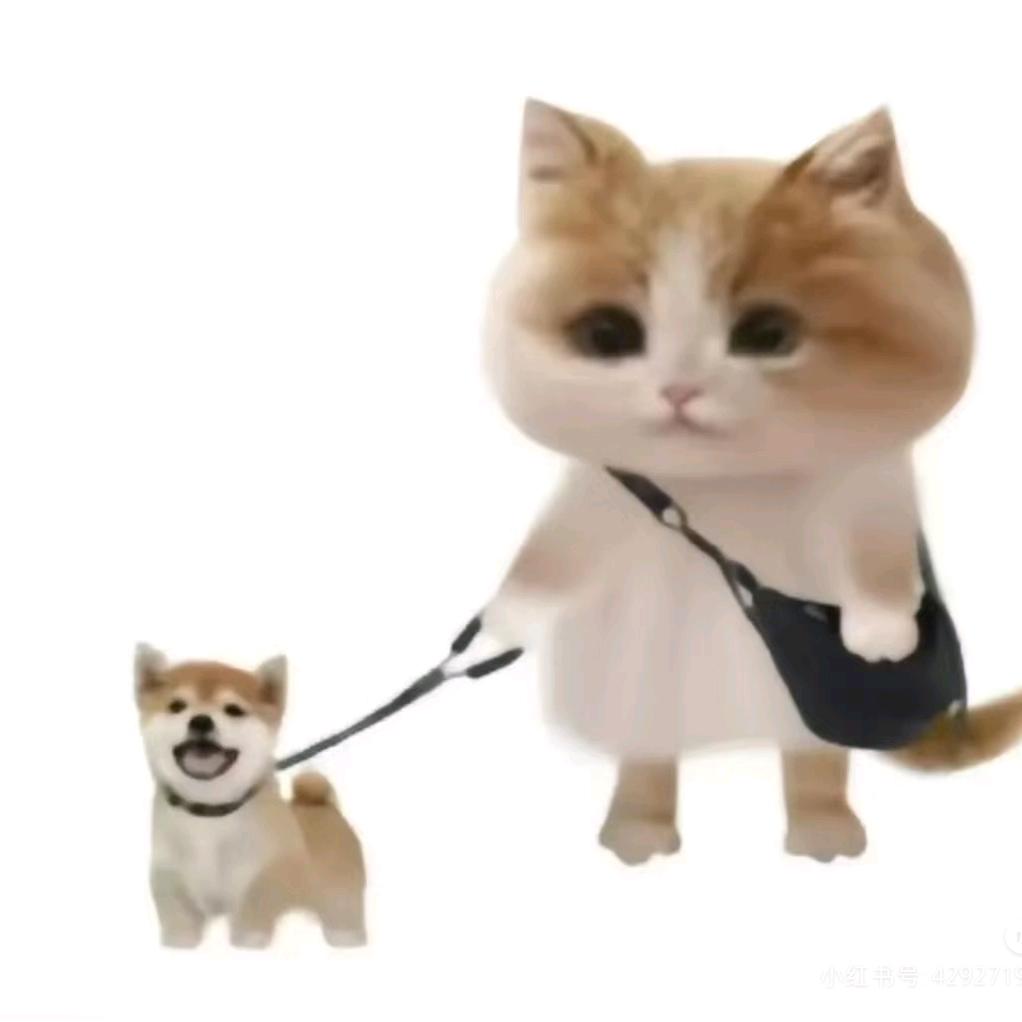 爱吃吉事果