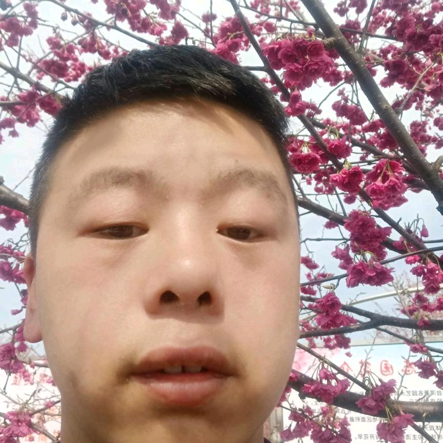 享太阳