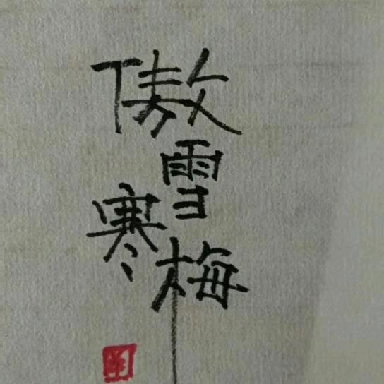重生来自星星的你