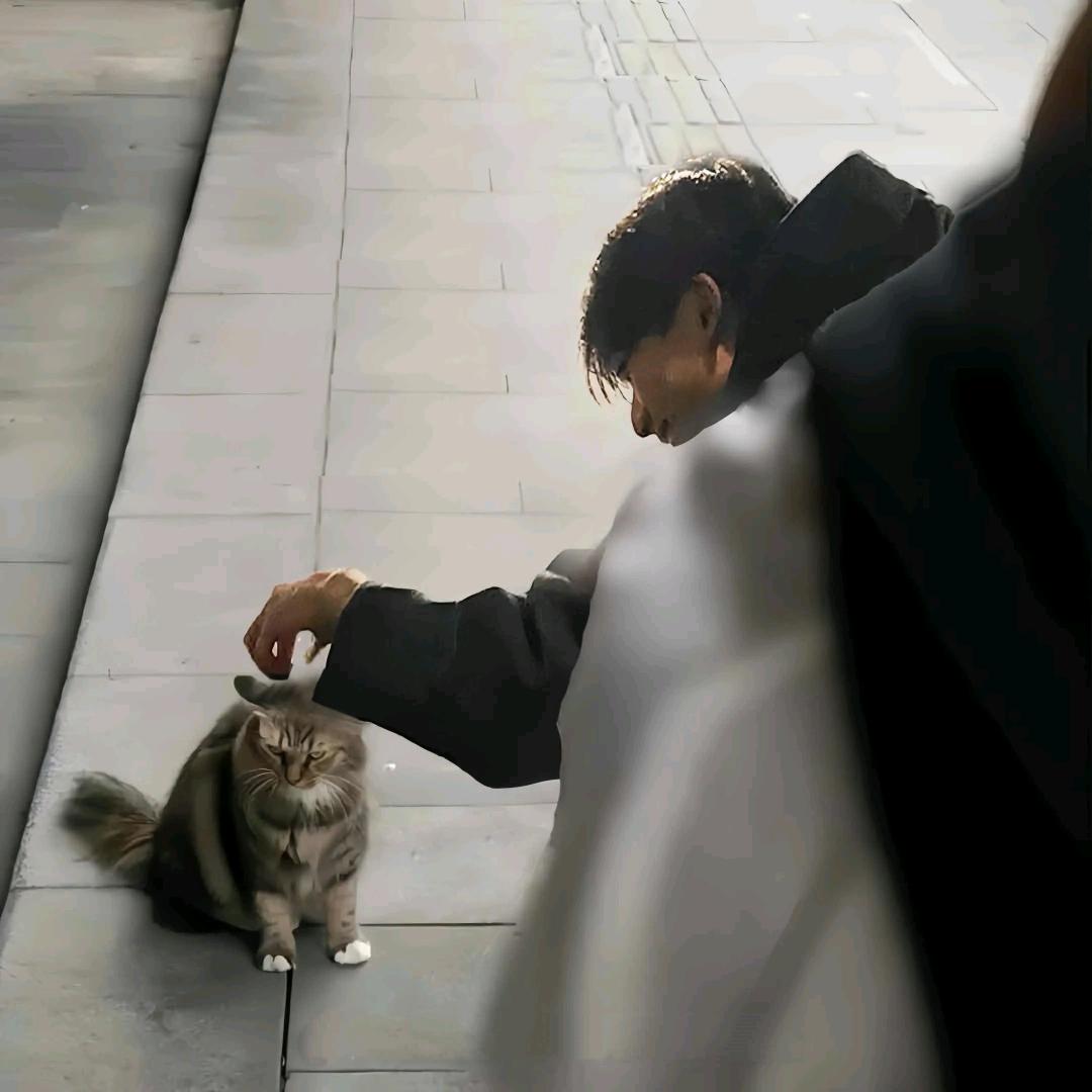 没有也沒关系