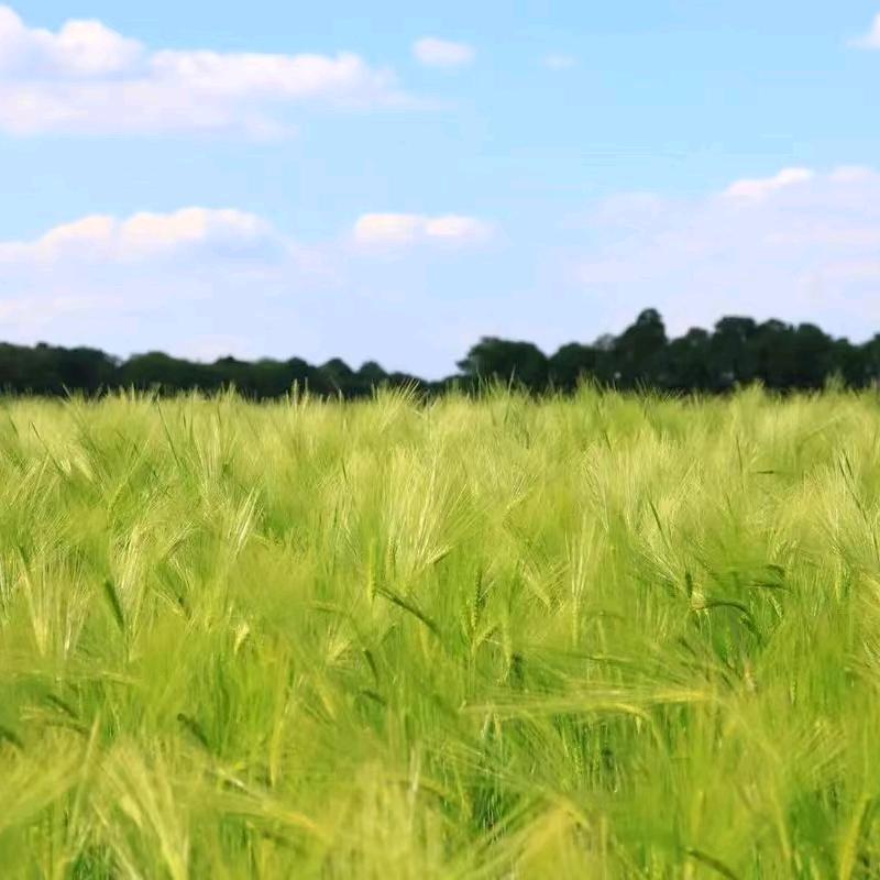 雨中的彩虹🌈🌈413