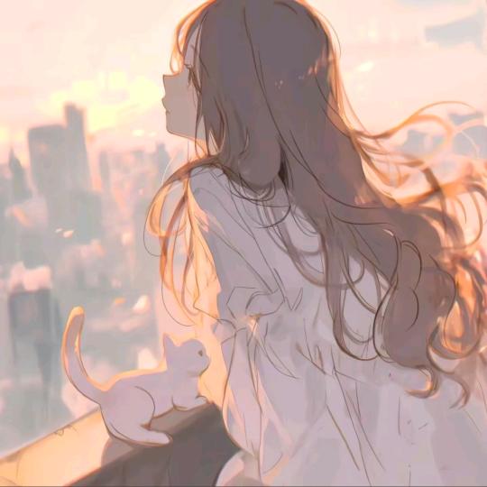 机智可人陈同学头像