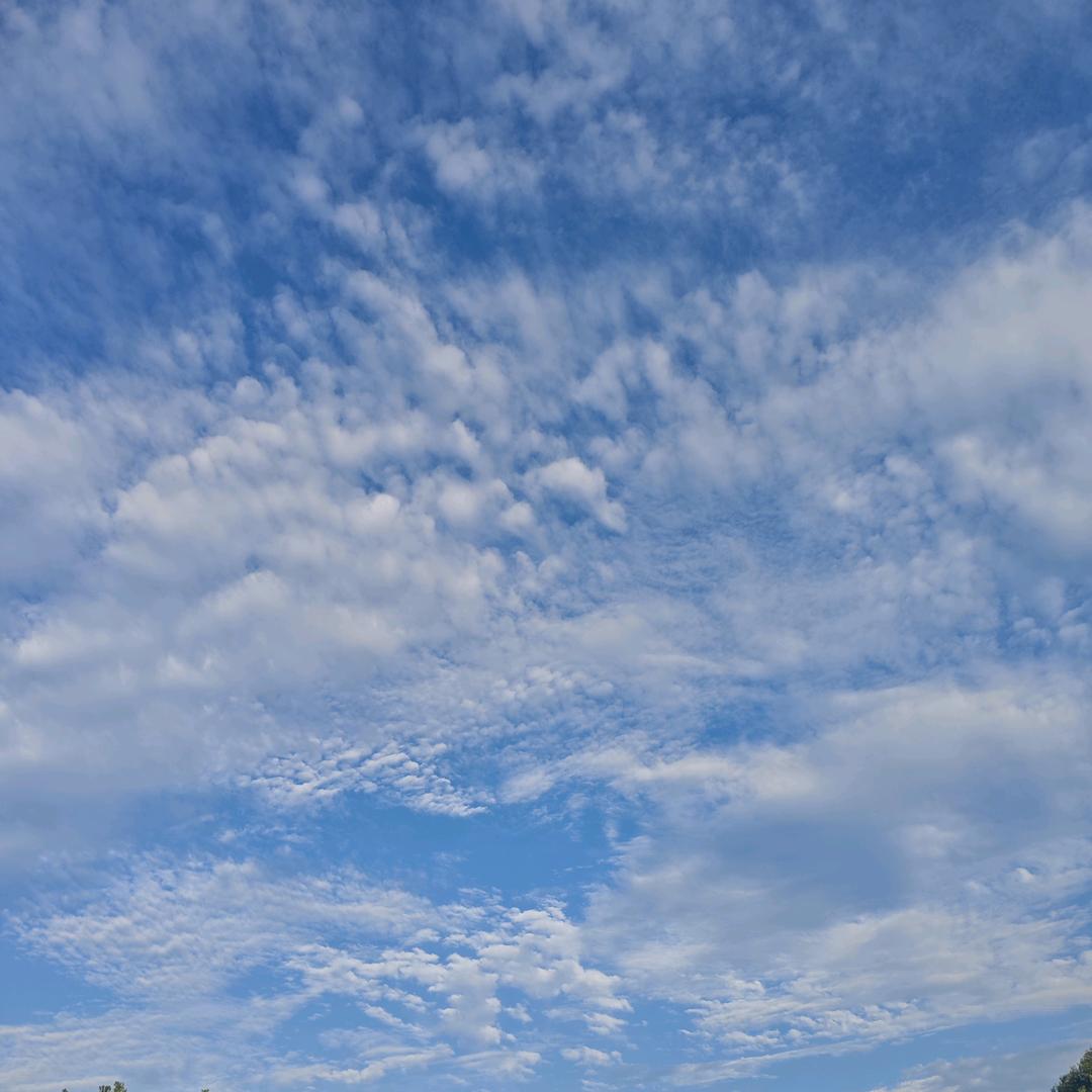 砀山果色添香甄选