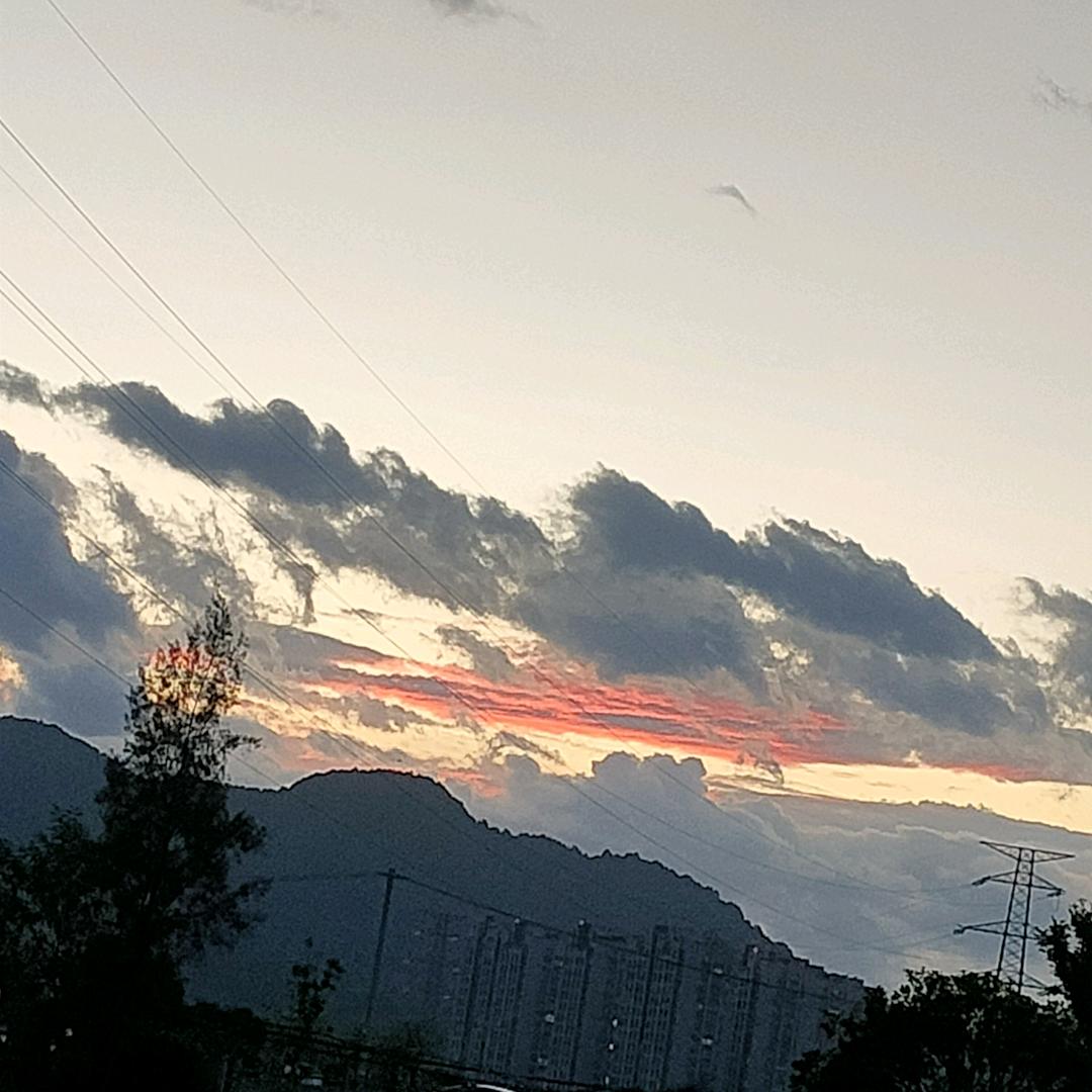 为了了生存