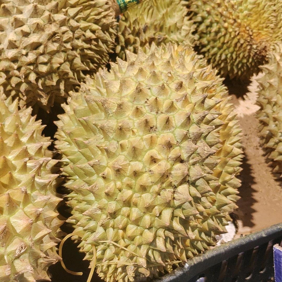 快乐每一天