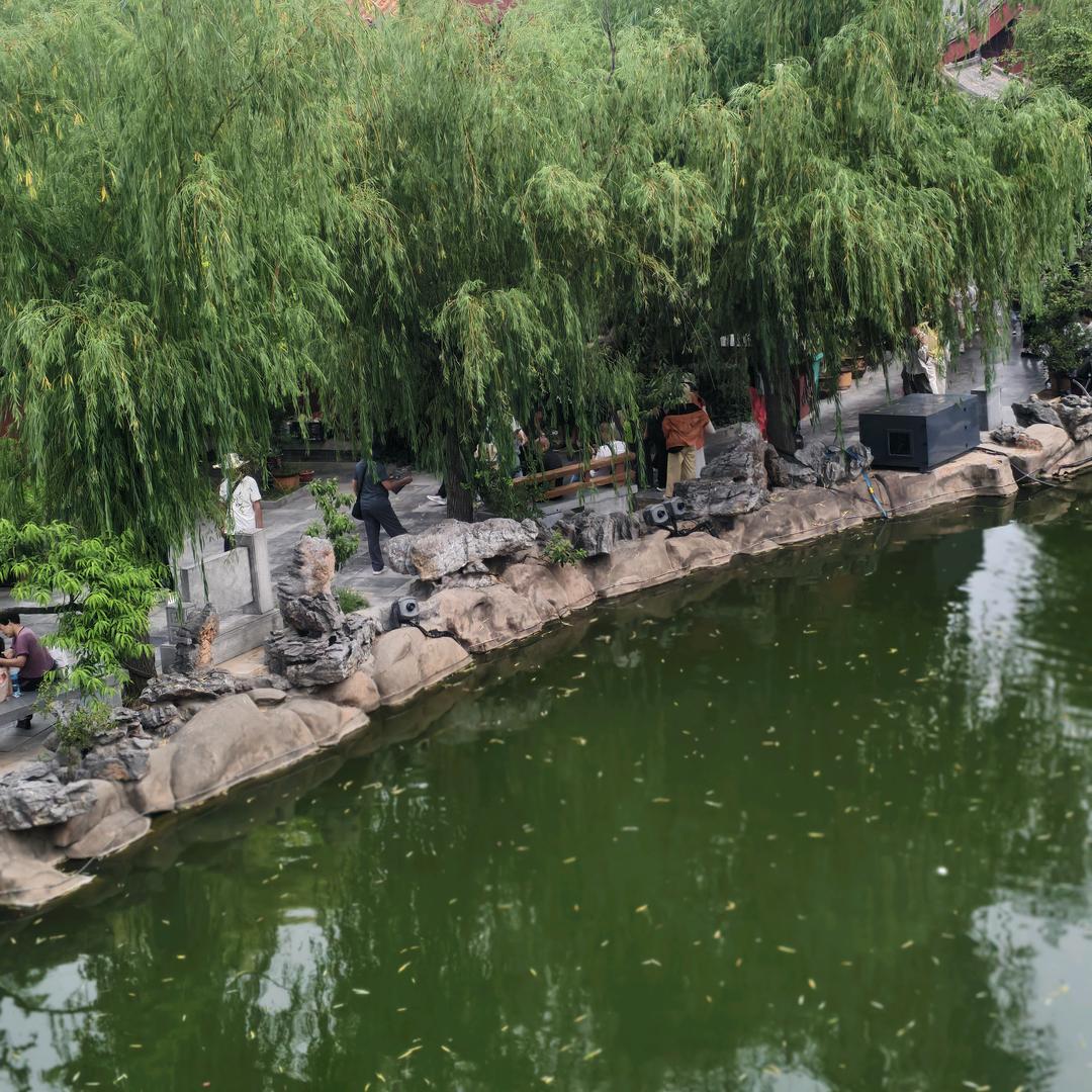 奔赴幸福