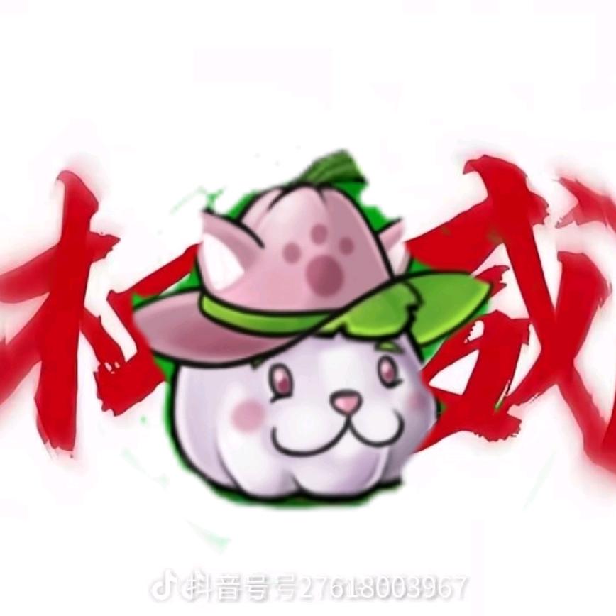 猫瓜