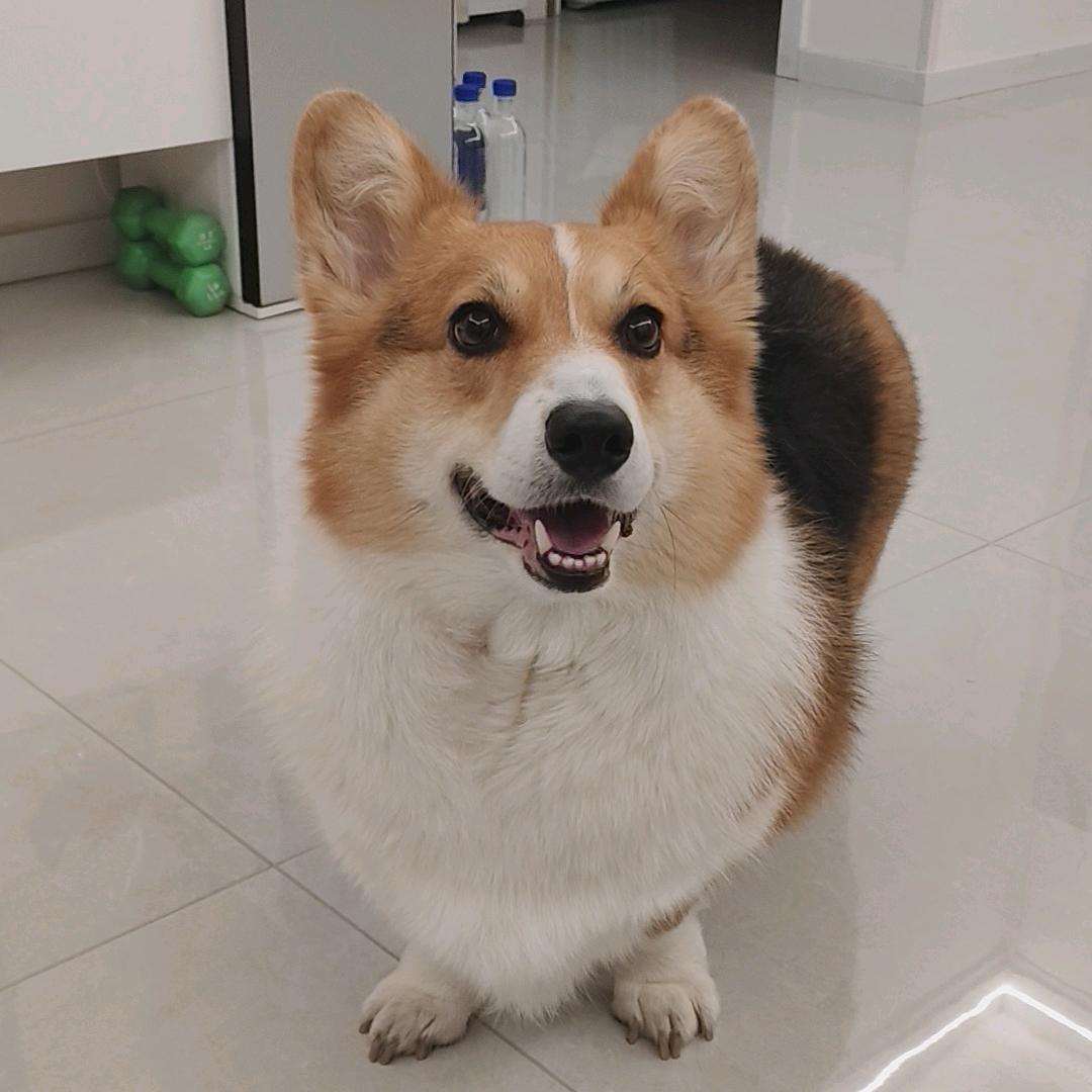 嘻哈哈
