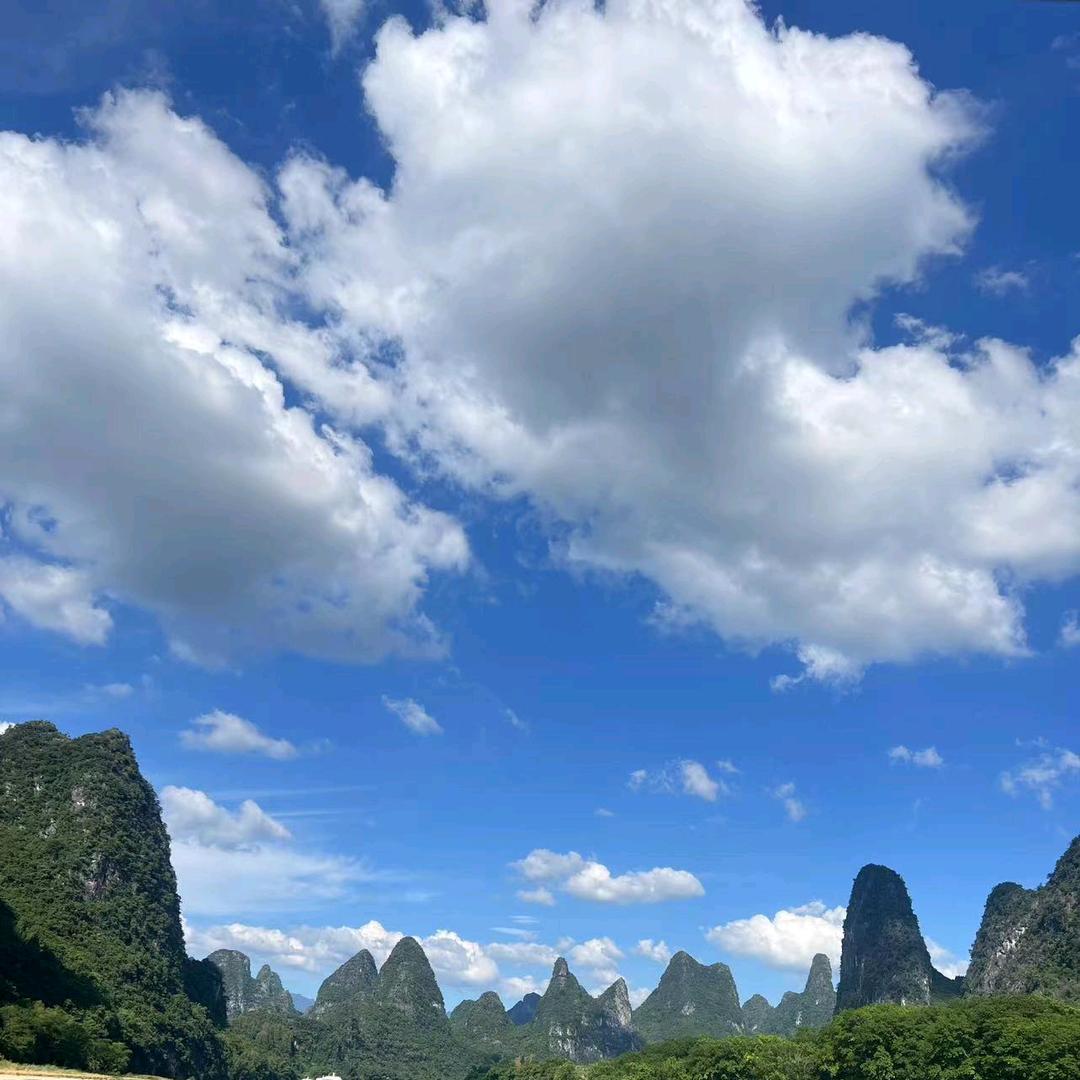 小陈