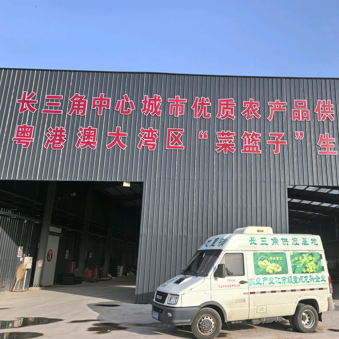 山东王墩墩苹果种植