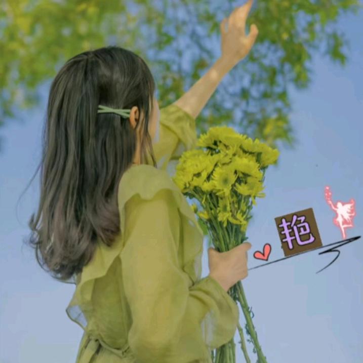 南飞雁🌻