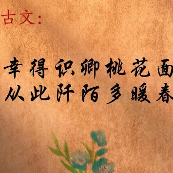 飘絮人间