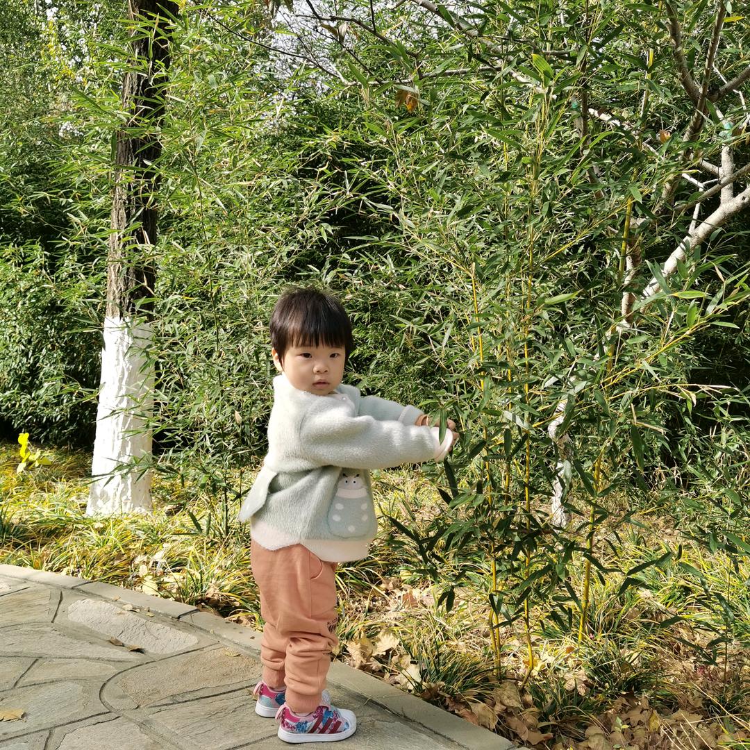 来与不来我都在等你