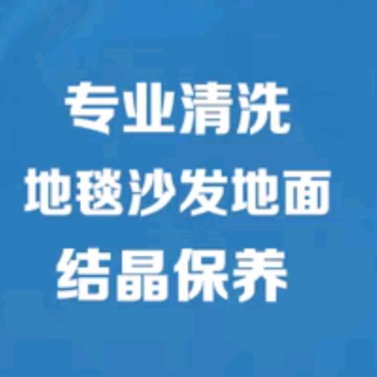 专业，清洗地毯沙发地面
