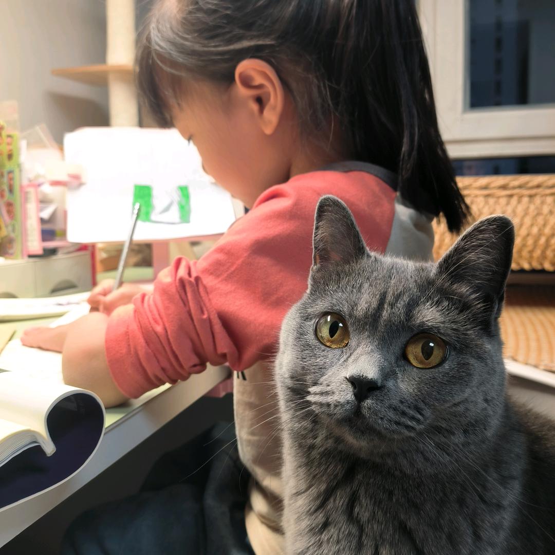 糖墩是只喵🐱