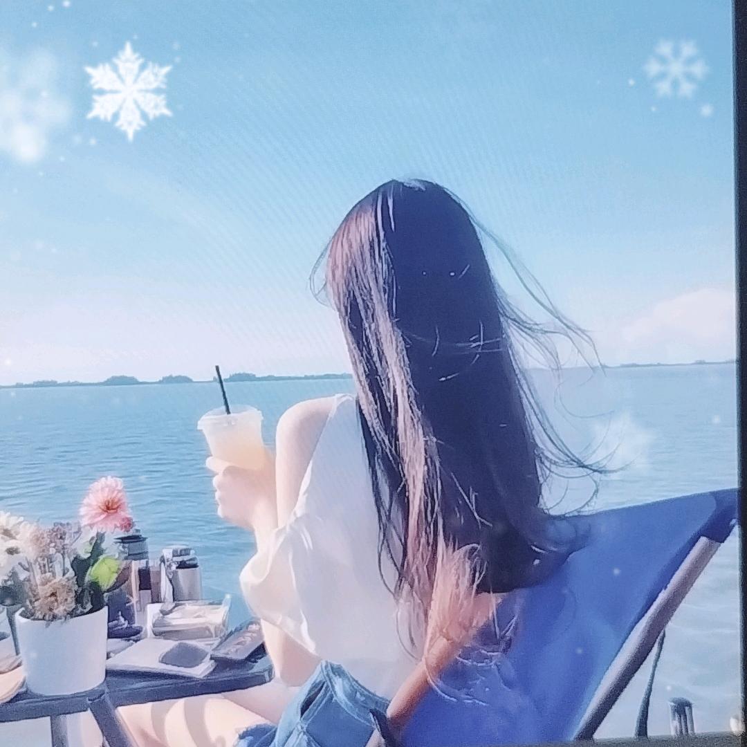 LlNK风格