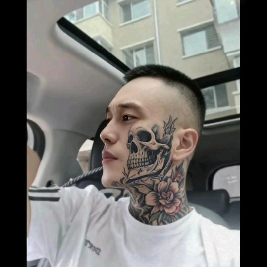 放眼望去