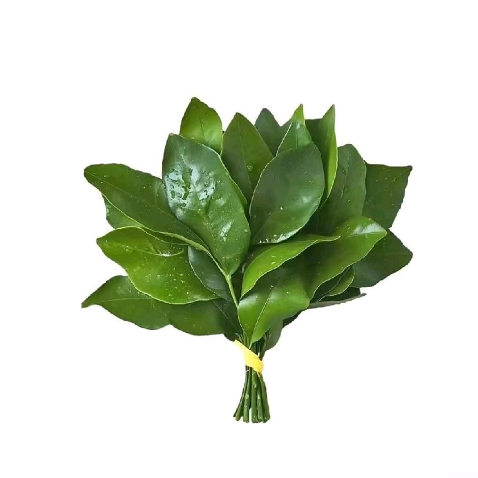 芝麻琼
