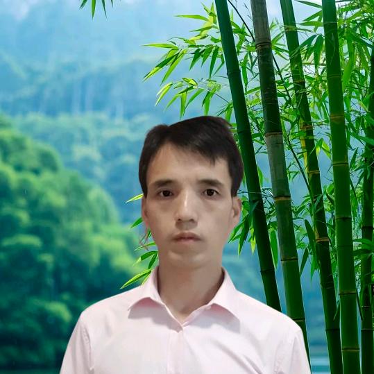 随性随風