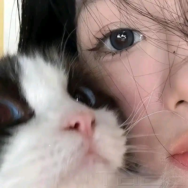 ⊹꙳ ˶˙ᵕ˙˶ ⊹꙳