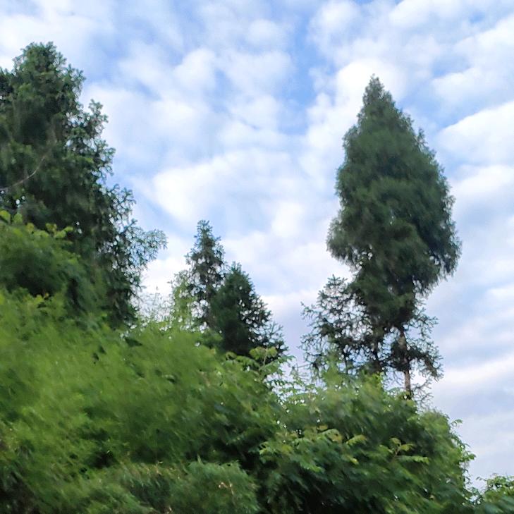 上山喝风去