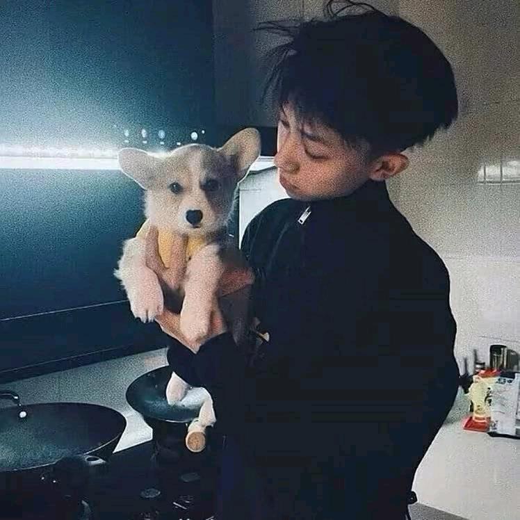 A-致豪zh工作室.