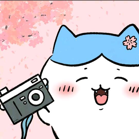 嗦一口猫蛋