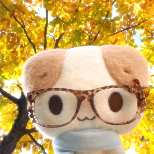 顾淮淮淮（扩列版）