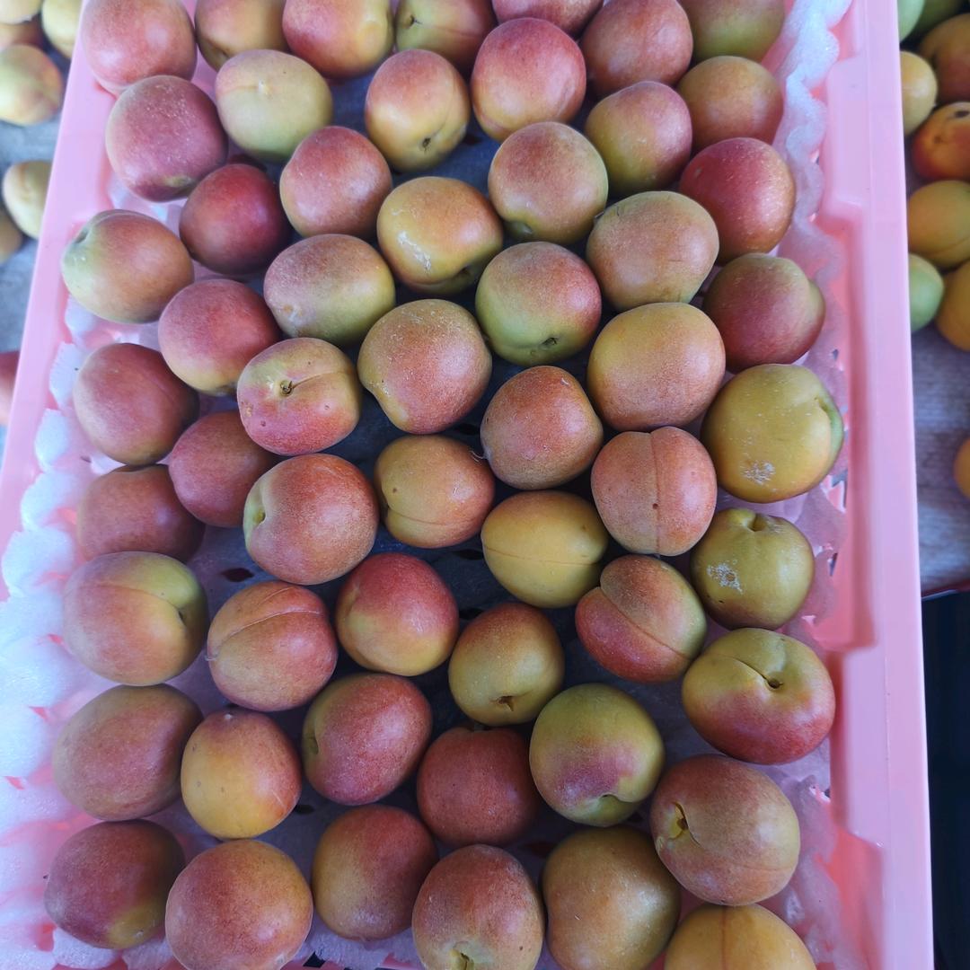 新疆水果