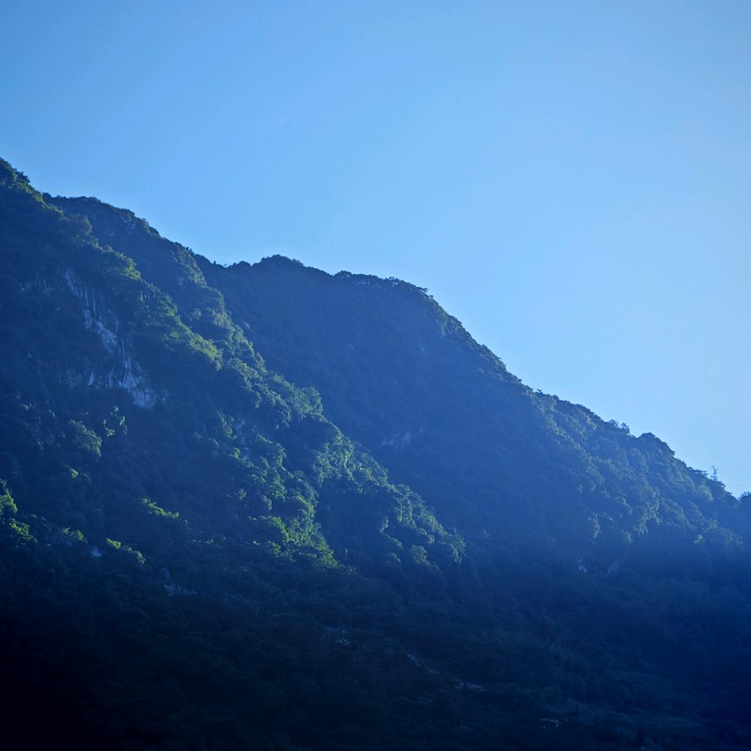 勺子鱼丝i