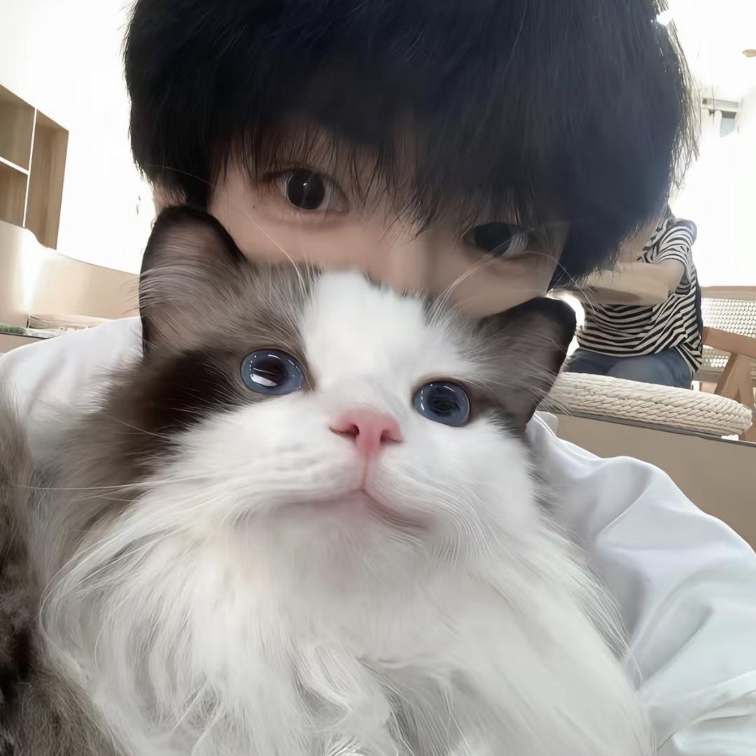 云裳.