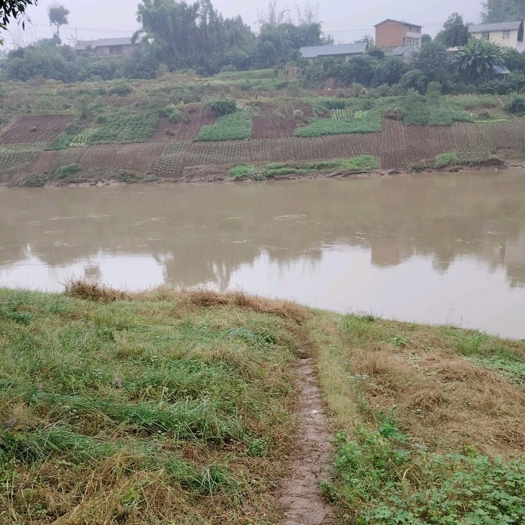 不一样的烟火🎇