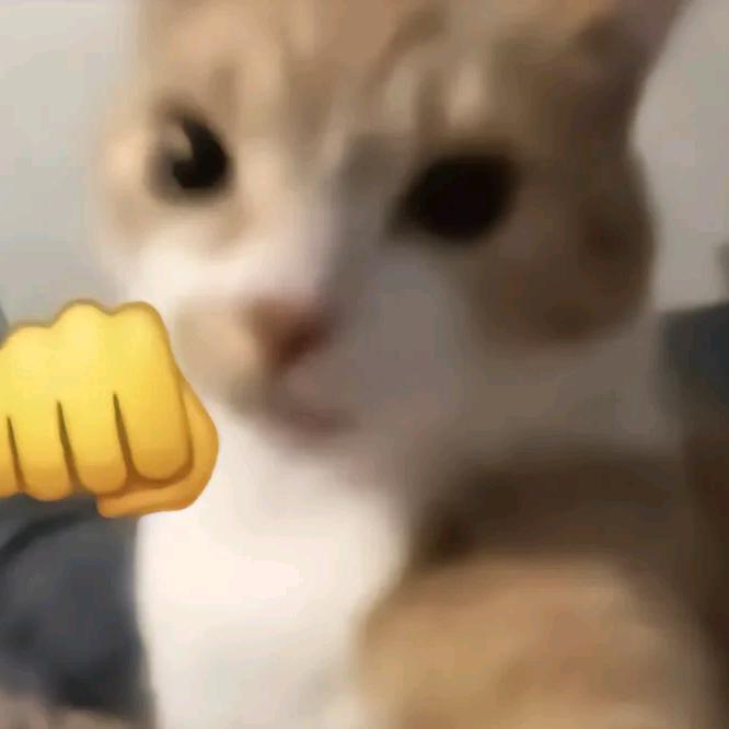 周粥
