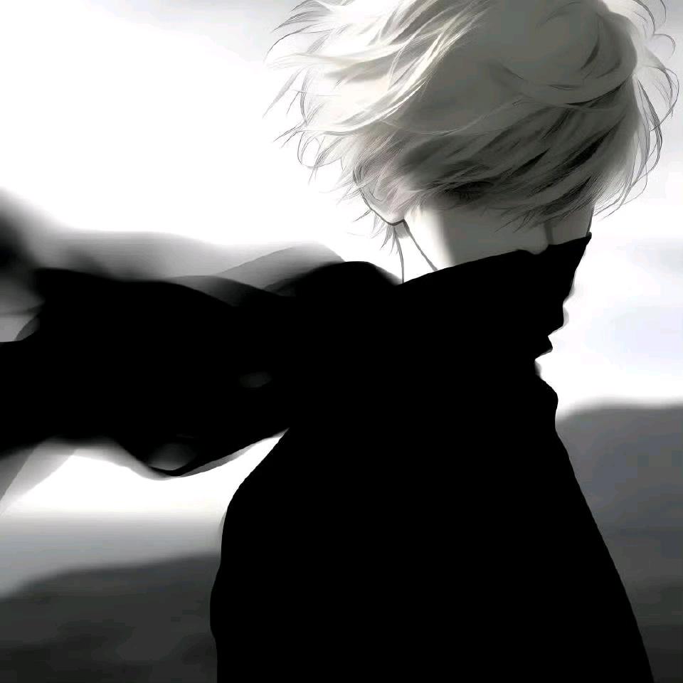 荷花塘里荷花飘📖公蛤蟆搂着母蛤蟆腰