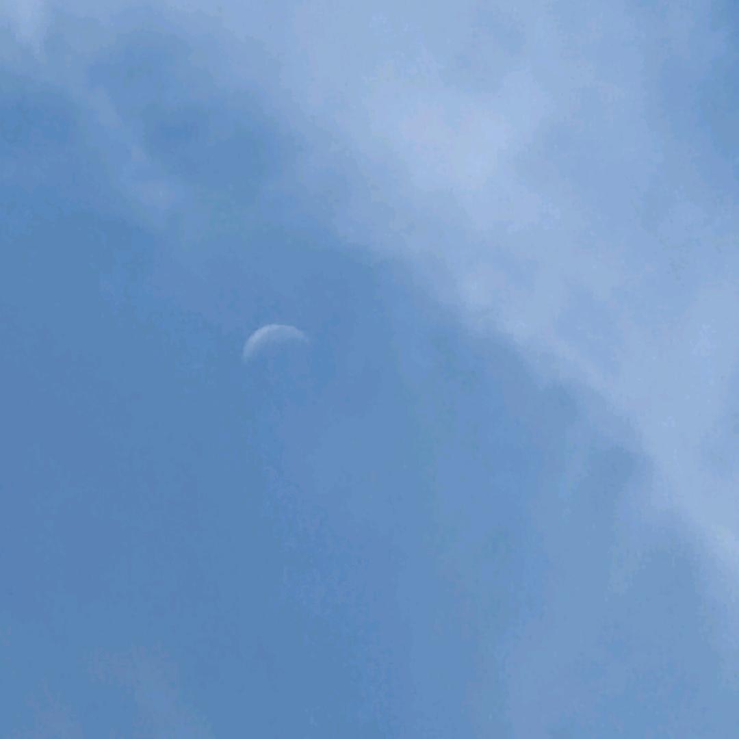 小马