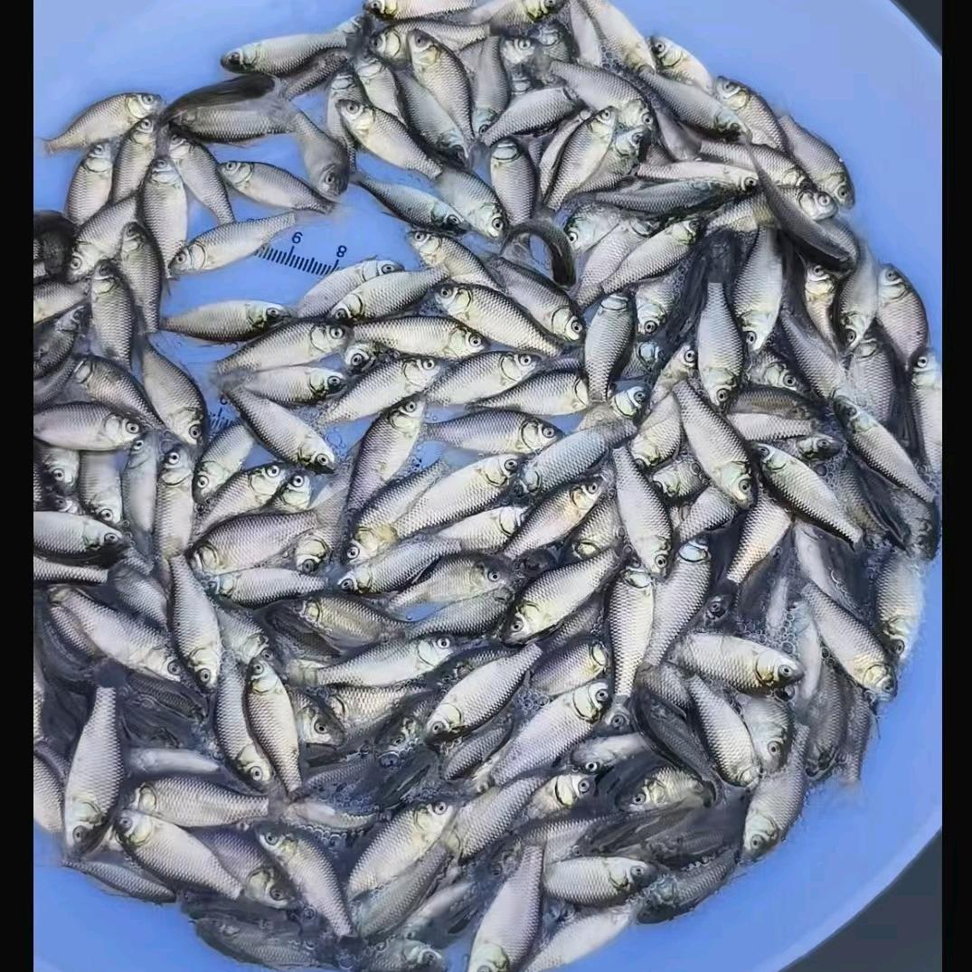 源海水产渔业