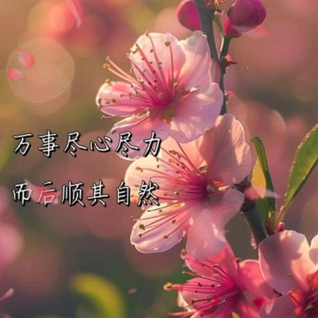 冷煖zi倁