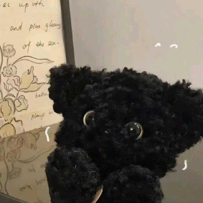王咏