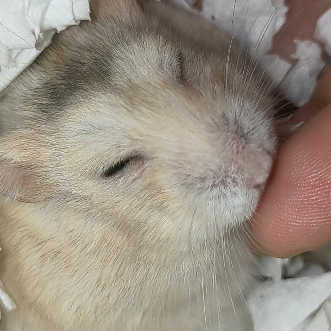 李白日做梦⁰⁴²⁸🦴